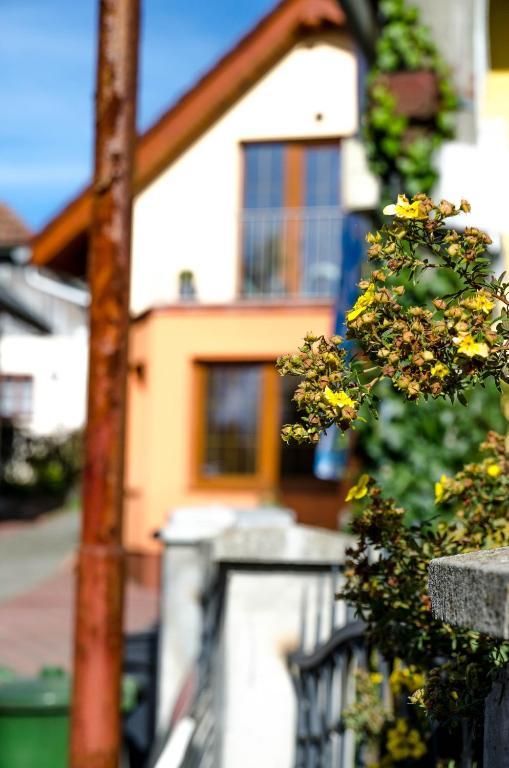 Relax Penzion U Adama Dolna Tizina Экстерьер фото